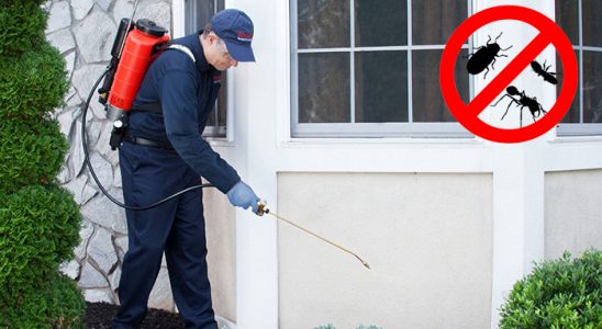 Yunusemre Fare İlaçlama böcek ilaçlama ve haşere kontrolü — ilaclama-tr.com